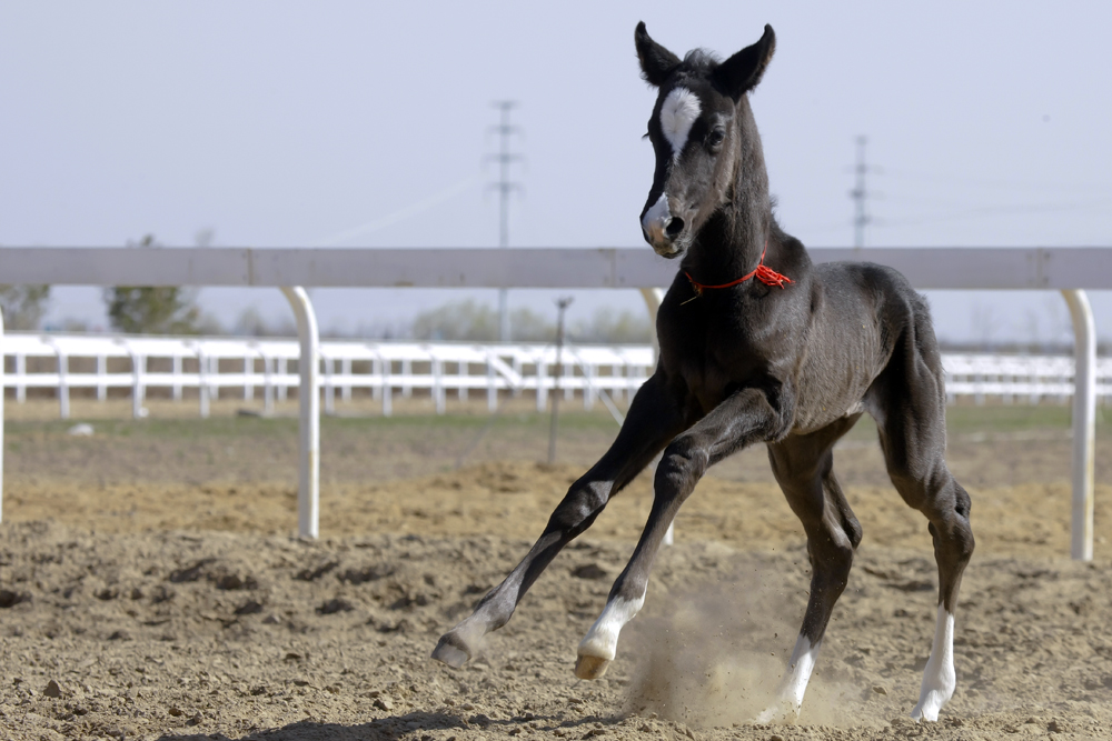 圖片關鍵詞 圖片關鍵詞