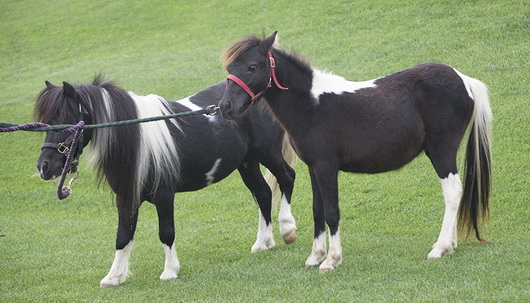 圖片關鍵詞 圖片關鍵詞