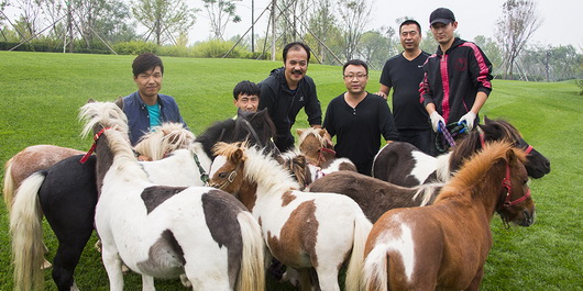 圖片關鍵詞 圖片關鍵詞