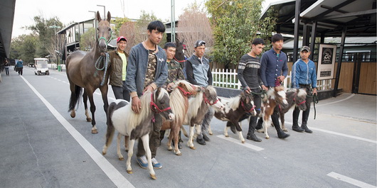 圖片關鍵詞 圖片關鍵詞