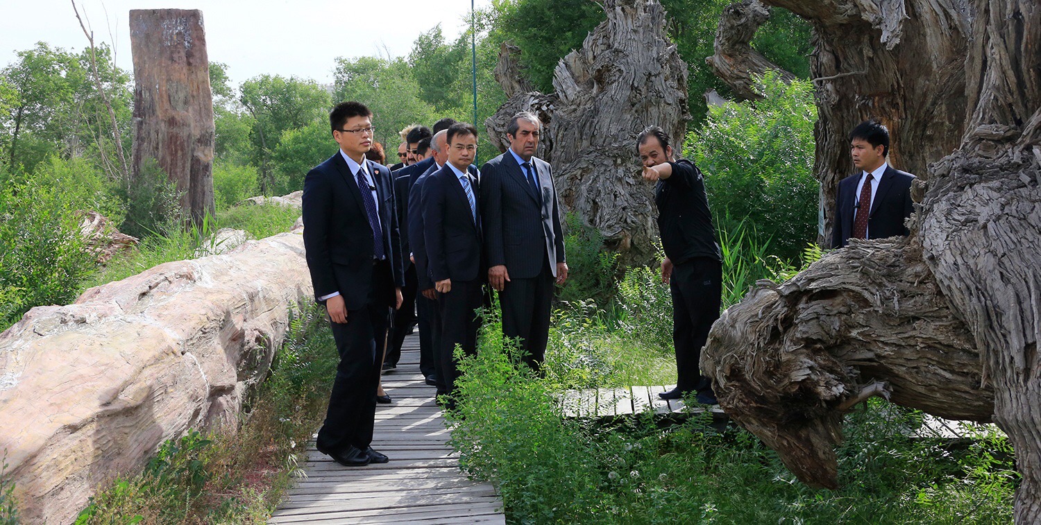 圖片關鍵詞 圖片關鍵詞