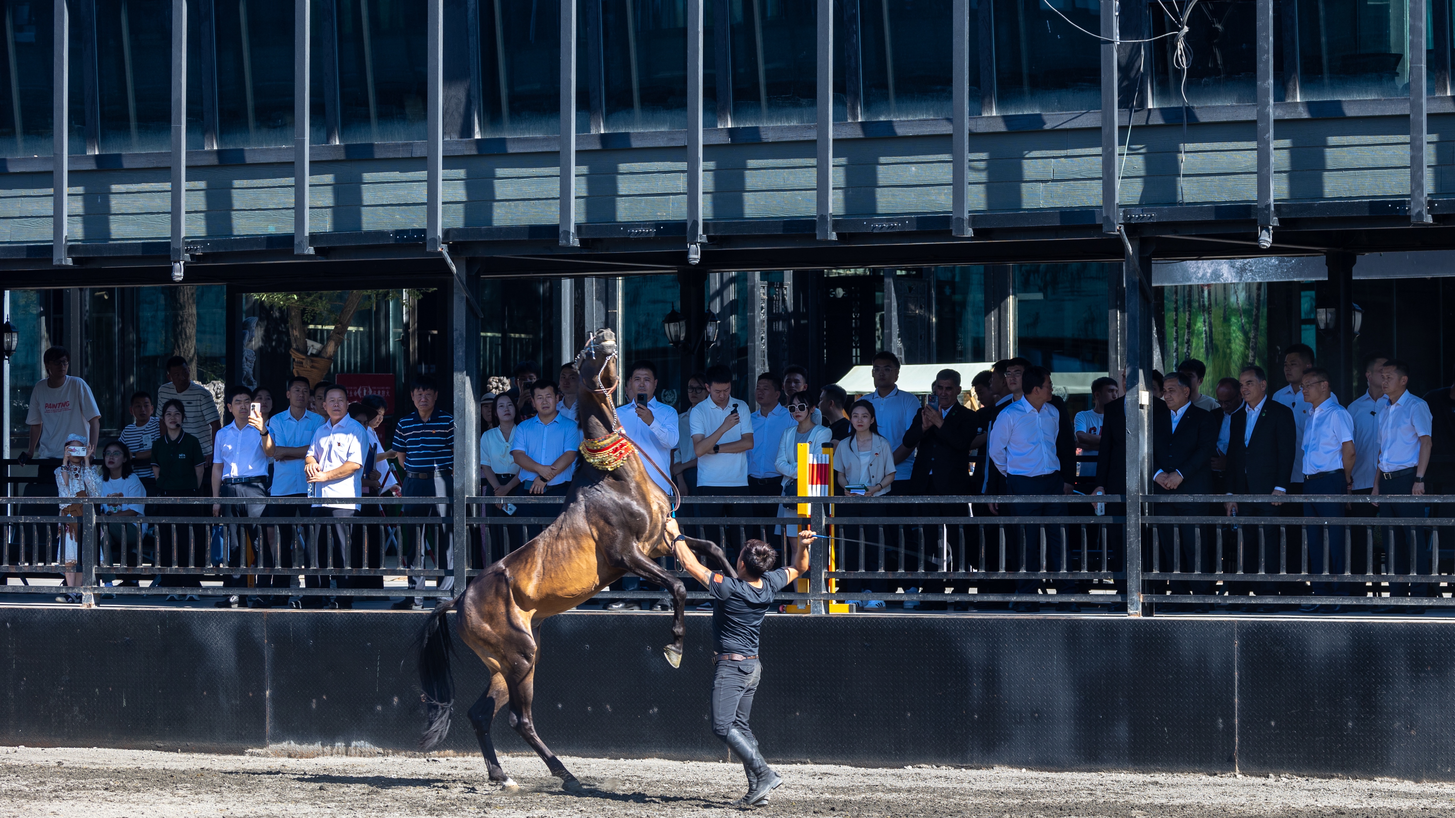 圖片關鍵詞 圖片關鍵詞