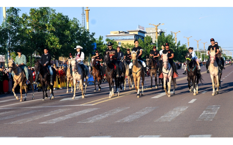 天馬故鄉昭蘇縣舉辦汗血馬巡游活動