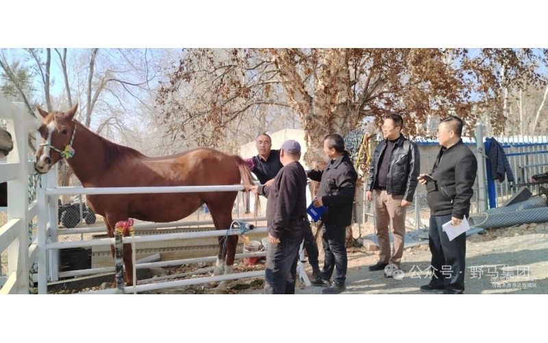 政策支持 企業發力 農民受益——現代畜禽種業提升專項資金項目成效顯著