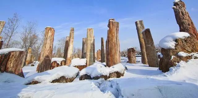 圖片關鍵詞 圖片關鍵詞