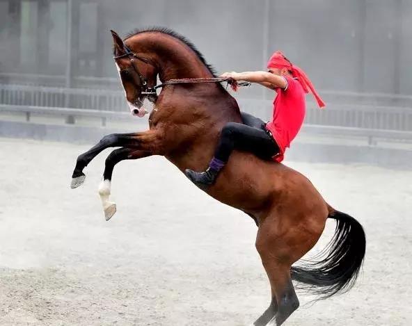 圖片關鍵詞 圖片關鍵詞