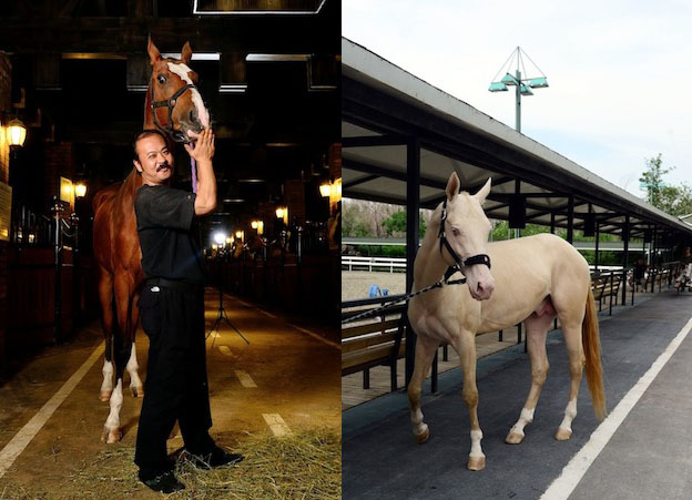 圖片關鍵詞 圖片關鍵詞