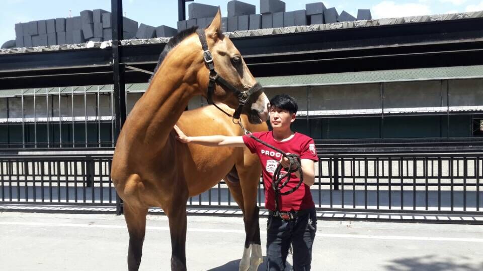 圖片關鍵詞 圖片關鍵詞